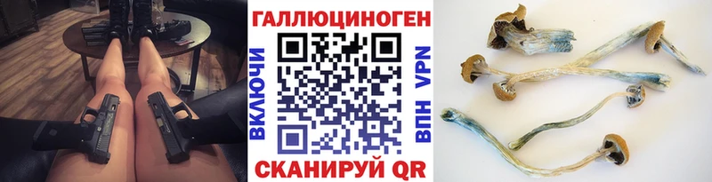 Галлюциногенные грибы Psilocybe Купить Среднеколымск